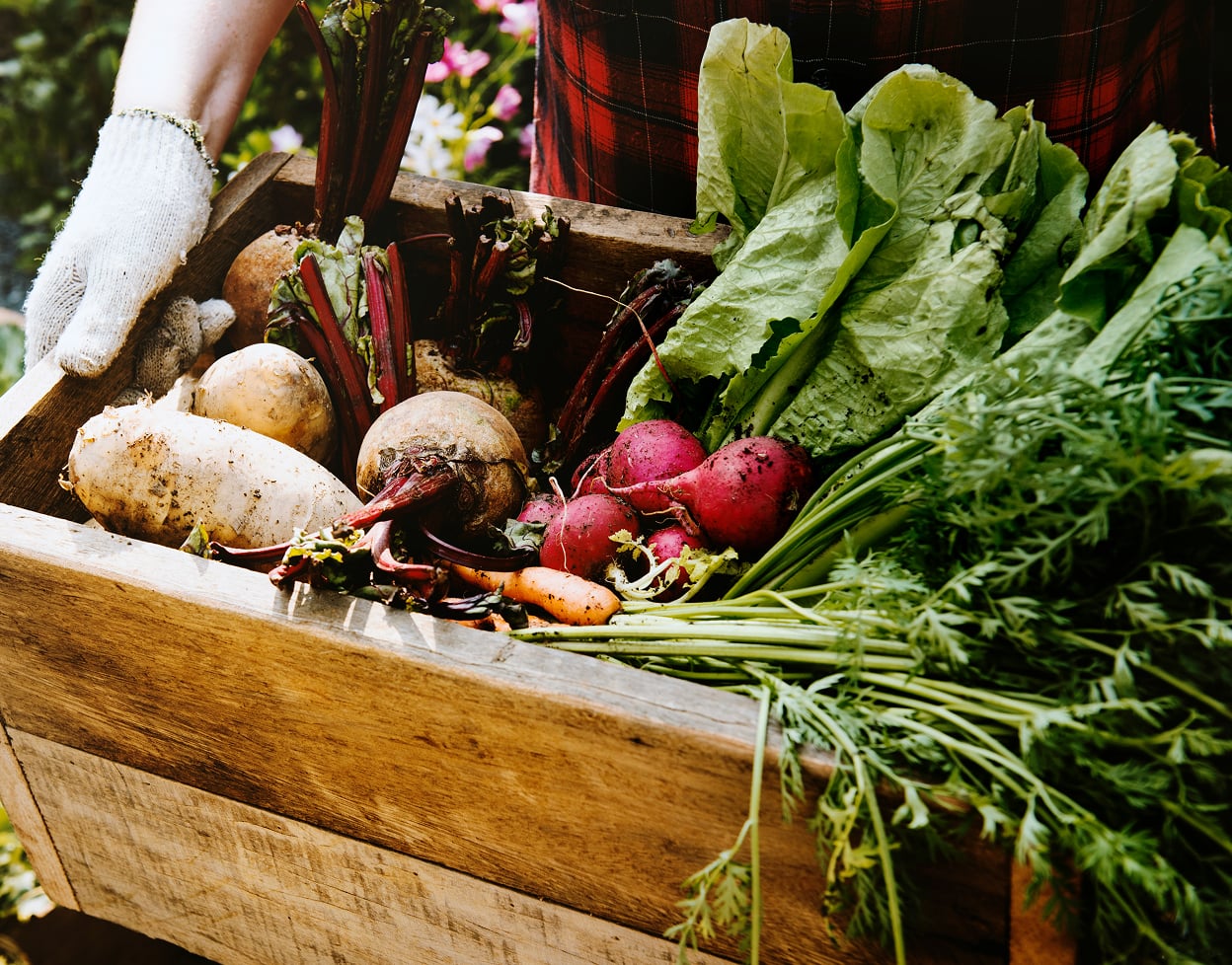 FRESH PRODUCE FROM LOCAL FARMS